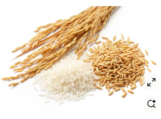 RICE