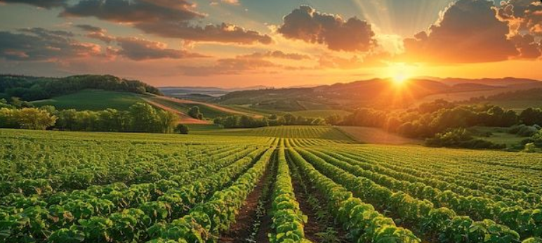 Agri
